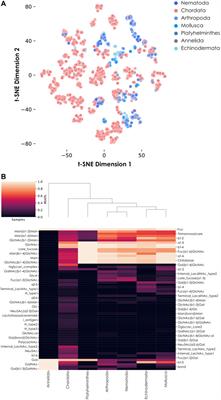 The Role of Fucose-Containing Glycan Motifs Across Taxonomic Kingdoms